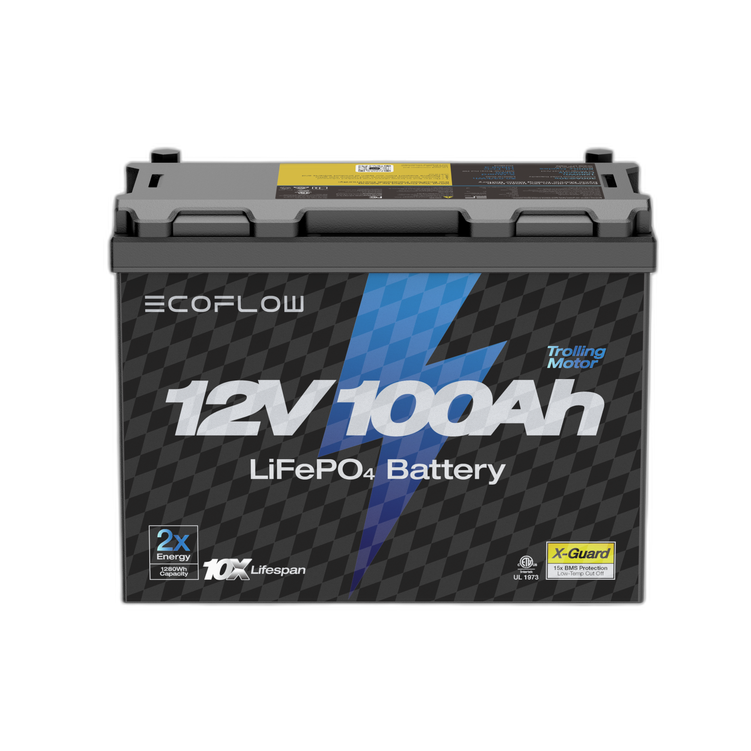 EcoFlow Lithium Battery 12V 100Ah