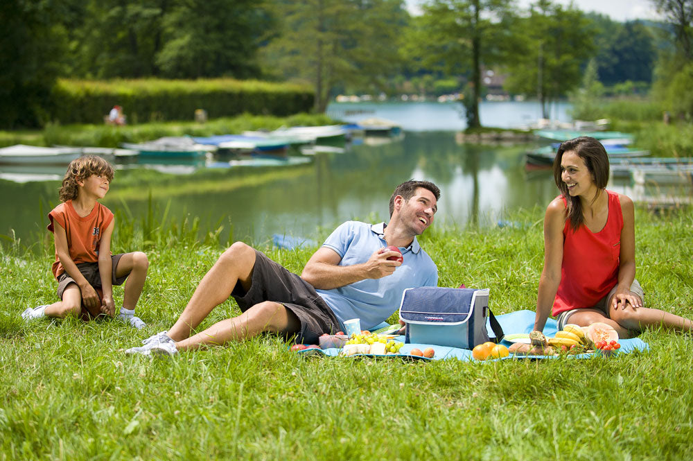 Campingaz Fold N Cool 10 L Dark blue