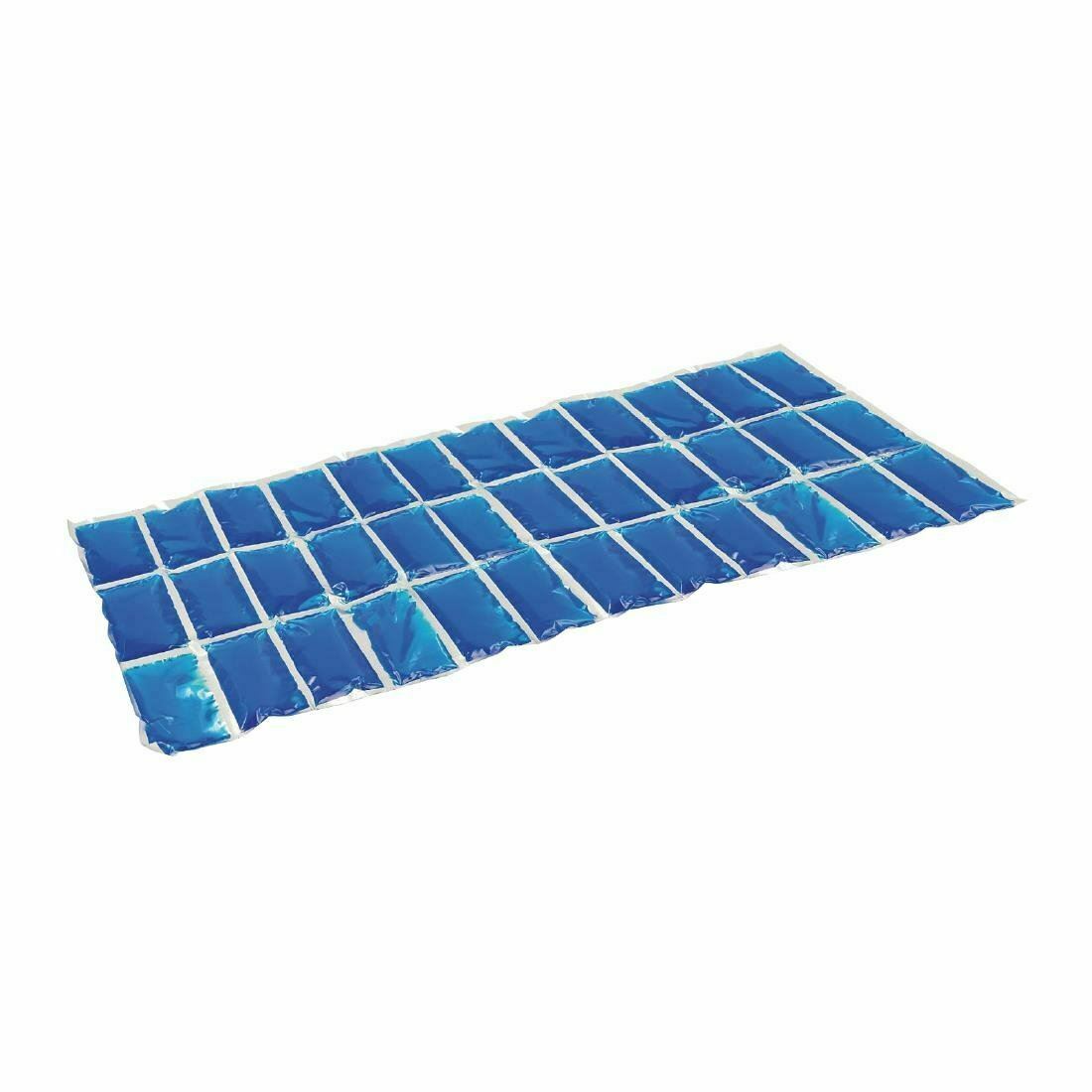 Campingaz Flexi Freez Pack Large